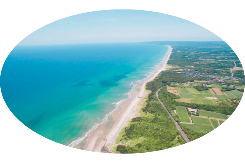 種子島