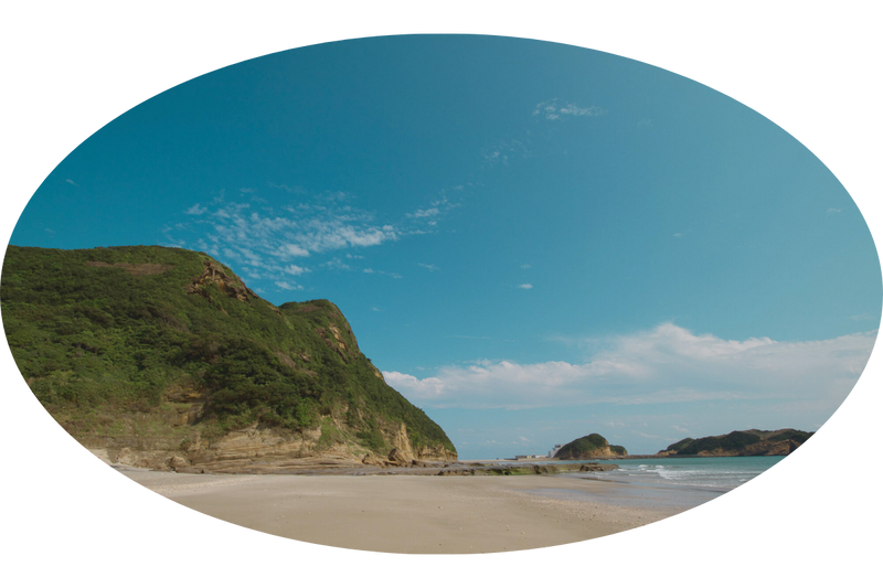 種子島