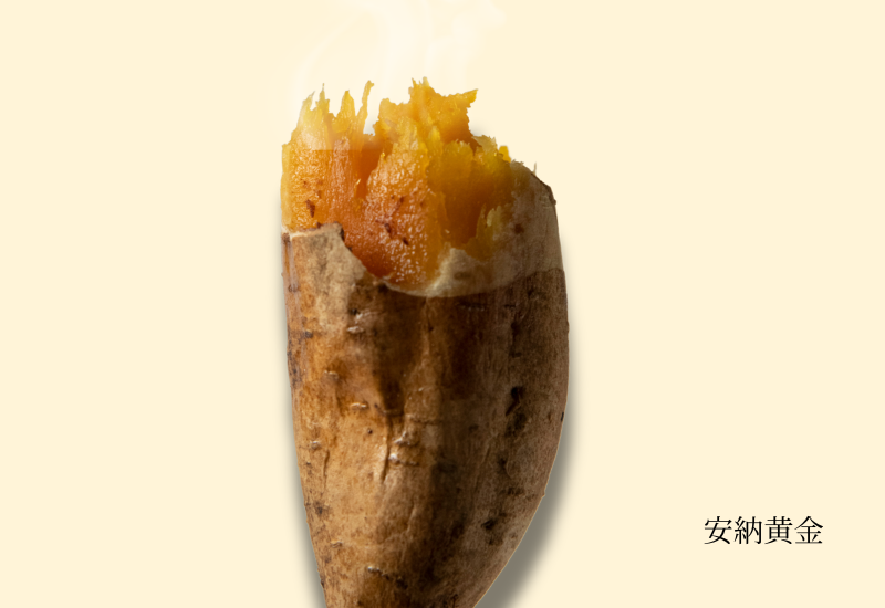 サイズ比較（安納芋）