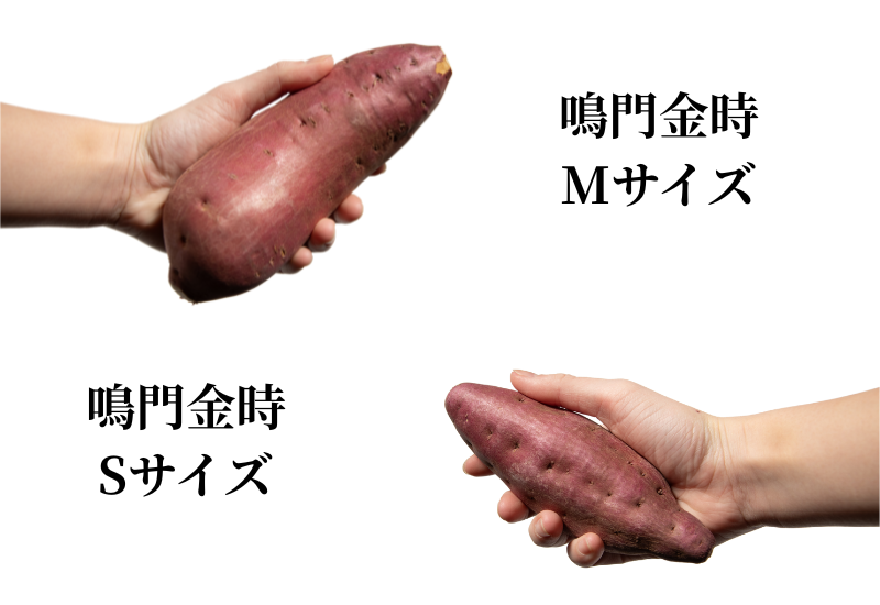 徳島県里浦産 なると金時