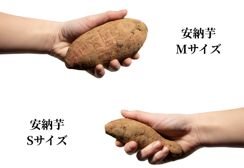 熊本県産安納芋