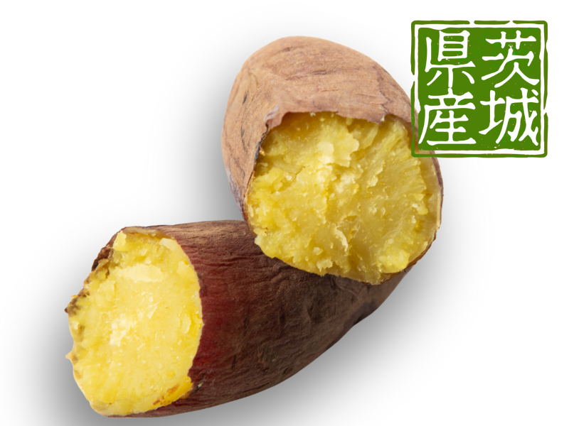 紅はるか（茨城）