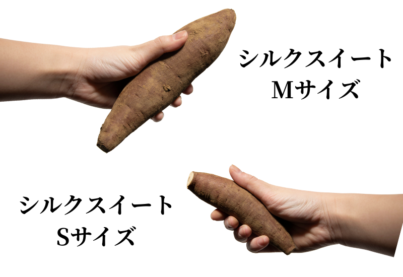 茨城県産シルクスイート